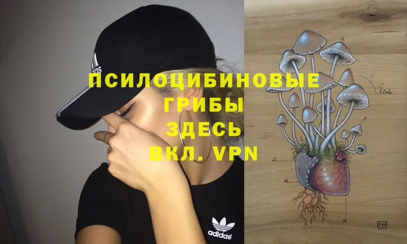 Галлюциногенные грибы Magic Shrooms  ОМГ ОМГ ссылки  Пролетарск  где купить  